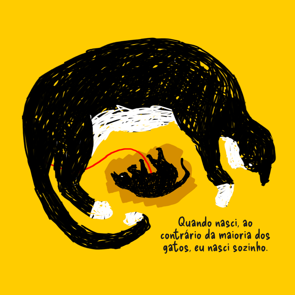 Uma gata "frajola" (preto e branco) dá a luz à um filhote. O gatinho é preto, ainda está na bolsa gestacional, ligado à mãe pelo cordão umbilical.  Texto: Quando nasci, ao contrário da maioria dos gatos, eu nasci sozinho.