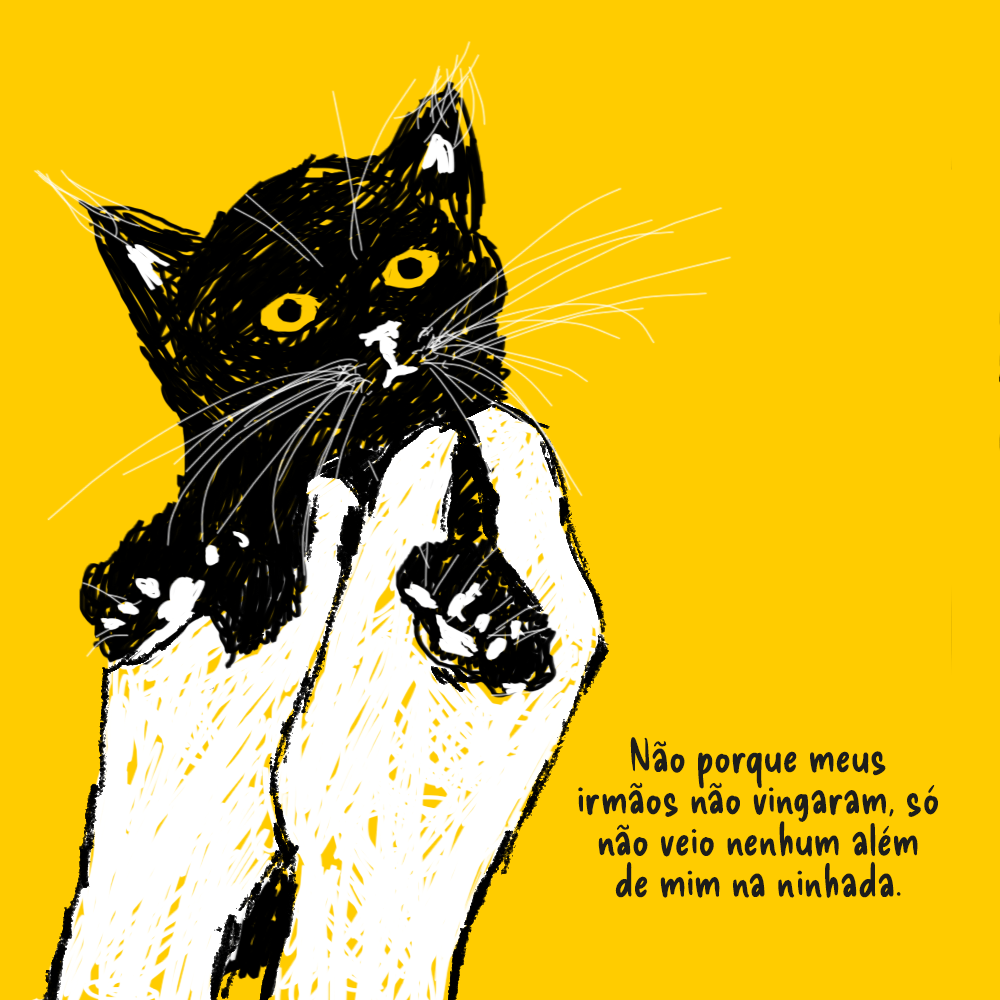 Duas mãos seguram o gatinho preto nas mãos, já maior. Ele é felpudinho, seu bigode é branco e seus olhos amarelos.   Texto: Não porque meus irmãos não vingaram, só não veio nenhum além de mim na ninhada